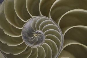 biomimicry 1 spiral-from-knowledgenet-small